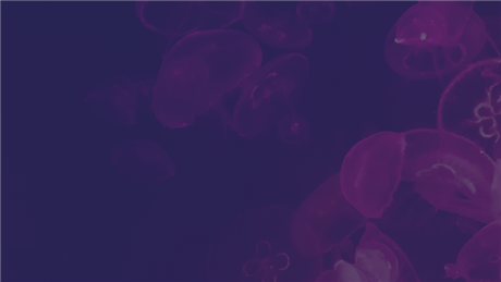 Group Banner Picture
